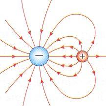 Le linee di campo escono (o entrano) da entrambe le cariche positive (negative): dalla disposizione delle linee di campo si osserva che le due