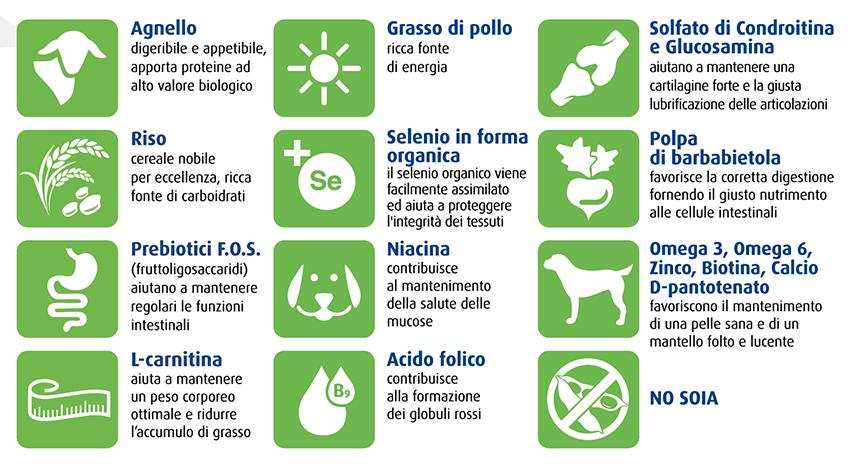 Un trasportatore specifico sulla membrana mitocondriale interna media il passaggio dell acil-carnitina nella matrice del mitocondrio, dove un isoenzima della carnitina acil transferasi (II)