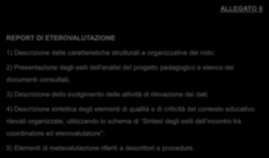 elenco dei documenti consultati; 3) Descrizione dello svolgimento delle attività di rilevazione dei dati; 4) Descrizione sintetica degli elementi di qualità e di criticità del