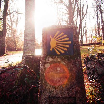 Il Cammino di Santiago: ultimi 170 km a piedi Itinerario francese da O'Cebreiro Da 800 anni pellegrini da tutto il mondo intraprendono un cammino per arrivare a Santiago de Compostela, dove sono