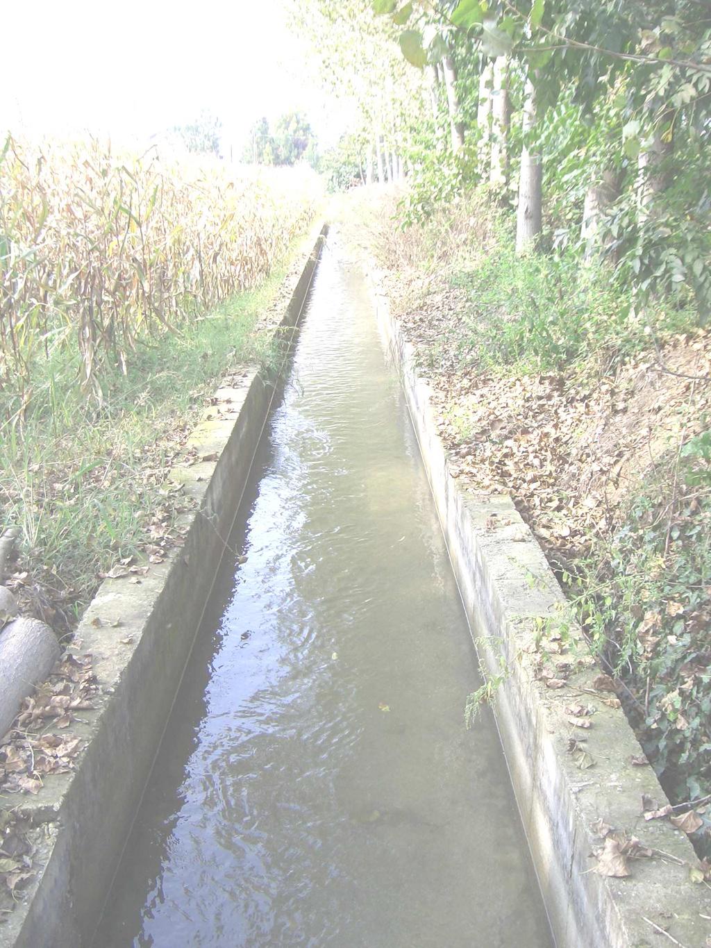 I COMPRENSORI IRRIGUI Per migliorare la gestione, con L.R. 21/1999 (sostituita dal TESTO UNICO in materia di Agricoltura - L.R. 1/2019) il Piemonte è suddiviso in 36 comprensori d irrigazione, ognuno gestito da un Consorzio d irrigazione.