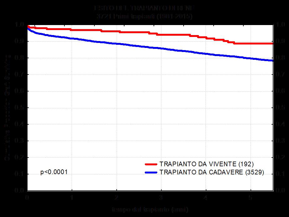 Analisi di alcuni parametri del sistema Esiti