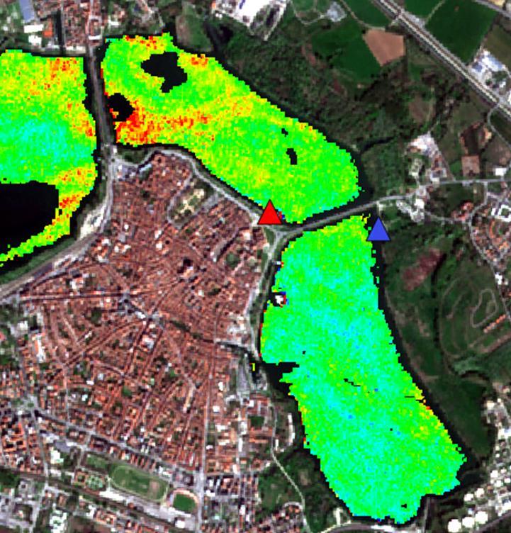 Mezzo (31/3) Misura della Chl-a con WISP (31/3) Mappa da S2 (25/3)