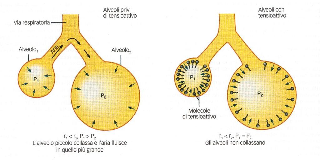 La sostanza