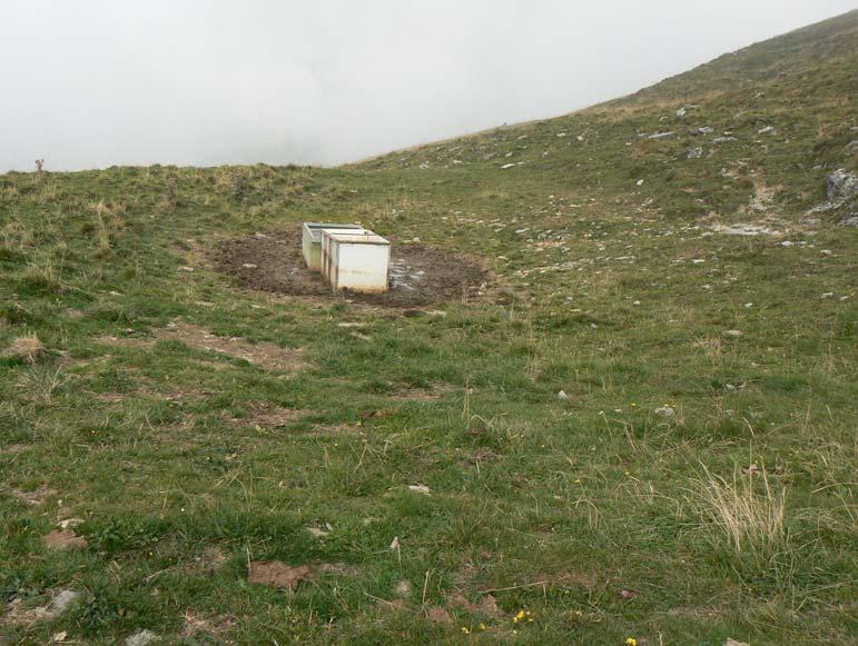 Vaccaro, conca della pozza da recuperare, stato attuale Stazione Sperimentale regionale per lo studio e la Conservazione degli anfibi Lago di Endine Il Coordinatore