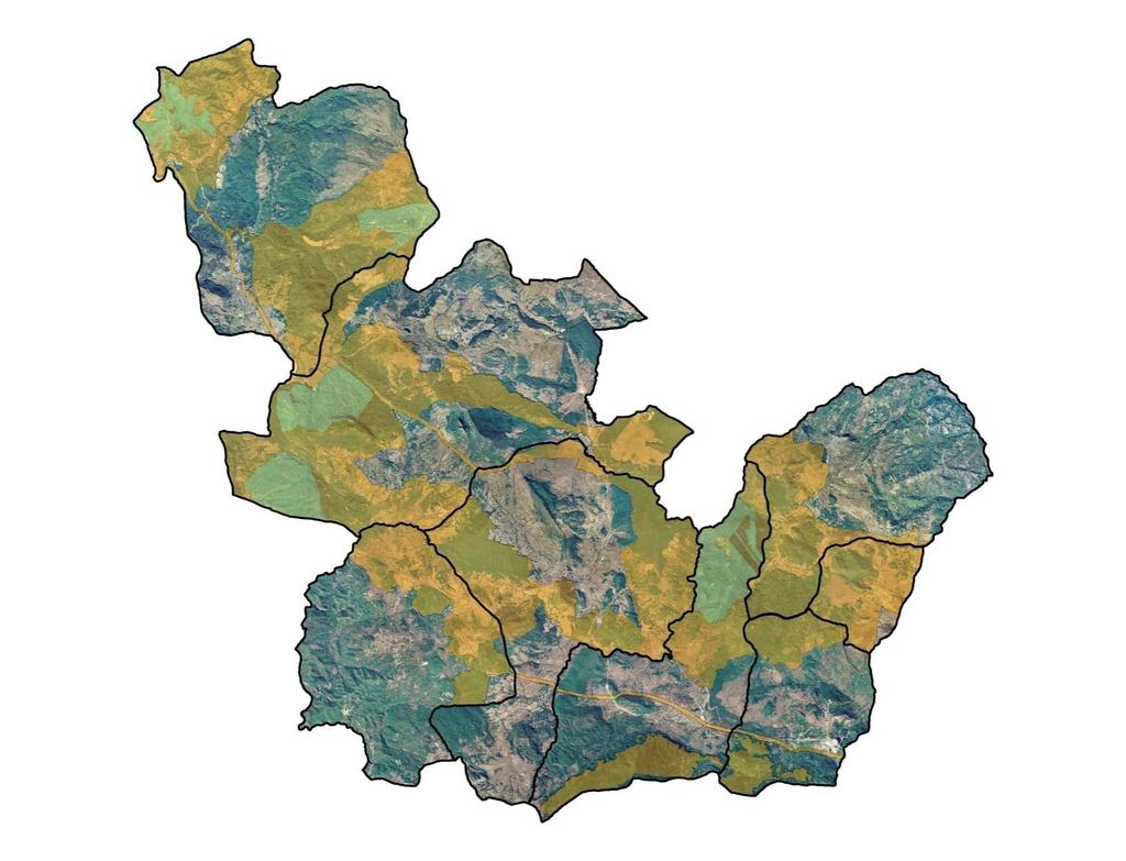 La nuova proposta di zonizzazione (per forme di proprietà in Ha) Proprietà comunali Proprietà di privati Comune Buffer Core Transition Tot Buffer Core (Demanio Regionale Transition Tot Carovilli