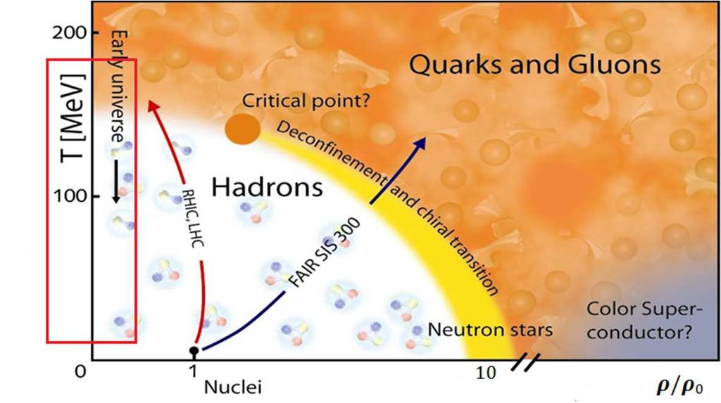 Diagramma di fase della QCD Per temperature e/o densità estremamente elevate la teoria predice una transizione di fase ad un nuovo stato della materia in cui vi sono quark e gluoni deconfinati.