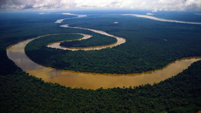 -La Foresta Amazzonica è attraversata dal Rio delle Amazzoni, chi sa dirmi qualche informazione a riguardo?
