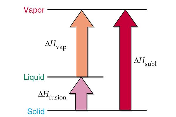 Entalpia delle transizioni di fase : H trs Condensazione - H vap - H sub - H fus solidificazione H vap = H vapore H liq > 0 H