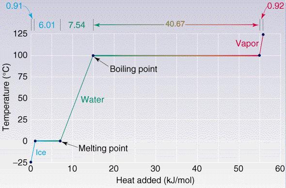 Profilo di calore (P = costante) Illustra la variazione di T di una sostanza riscaldata a ritmo costante e a P costante Durante un cambiamento di fase, la temperatura rimane costante; il calore