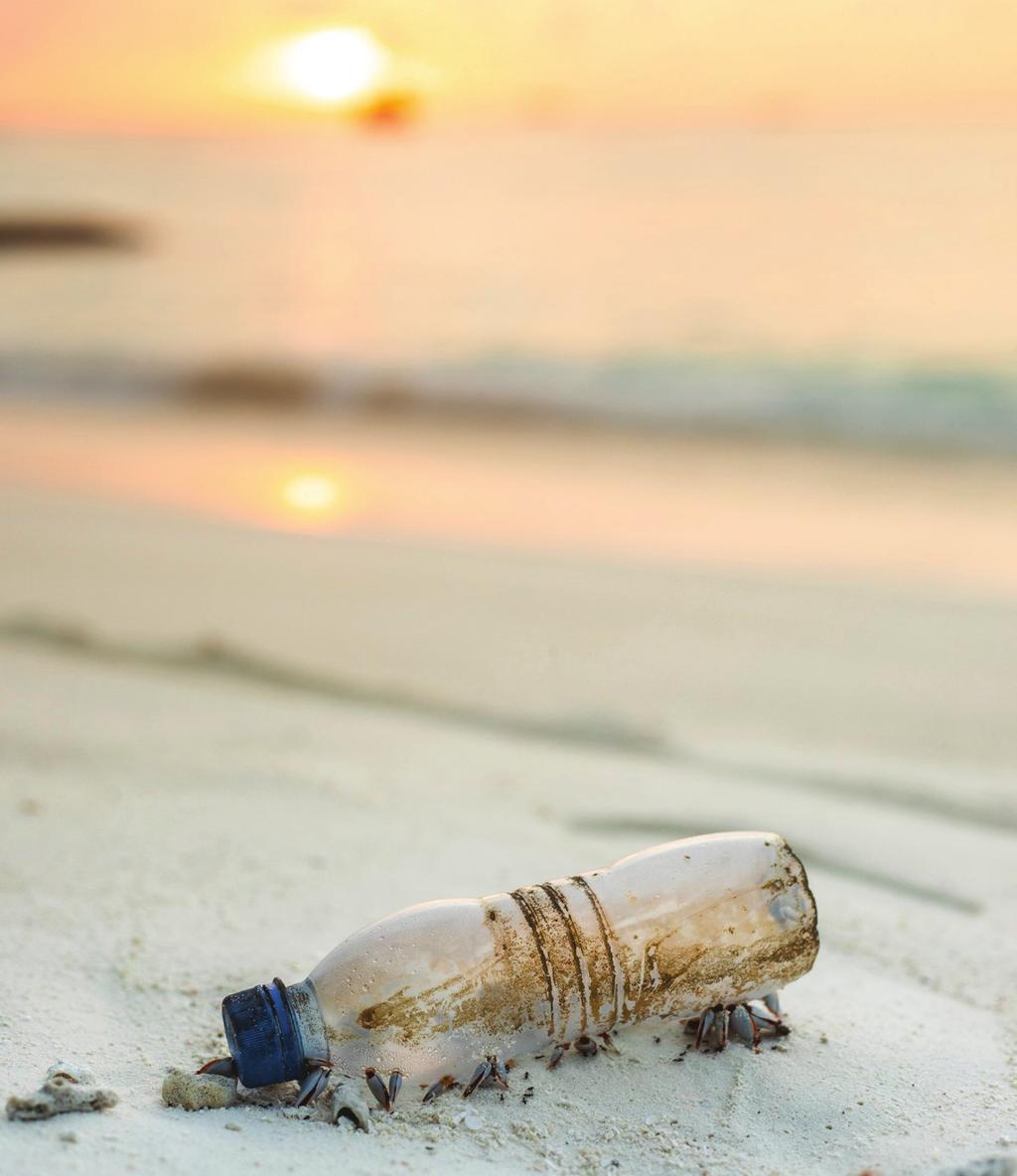 think Green Nel mondo, le materie plastiche costituiscono l 85% dei rifiuti marini. Sotto forma di microplastiche sono presenti anche nell aria, nell acqua e finiscono anche sulle nostre tavole.