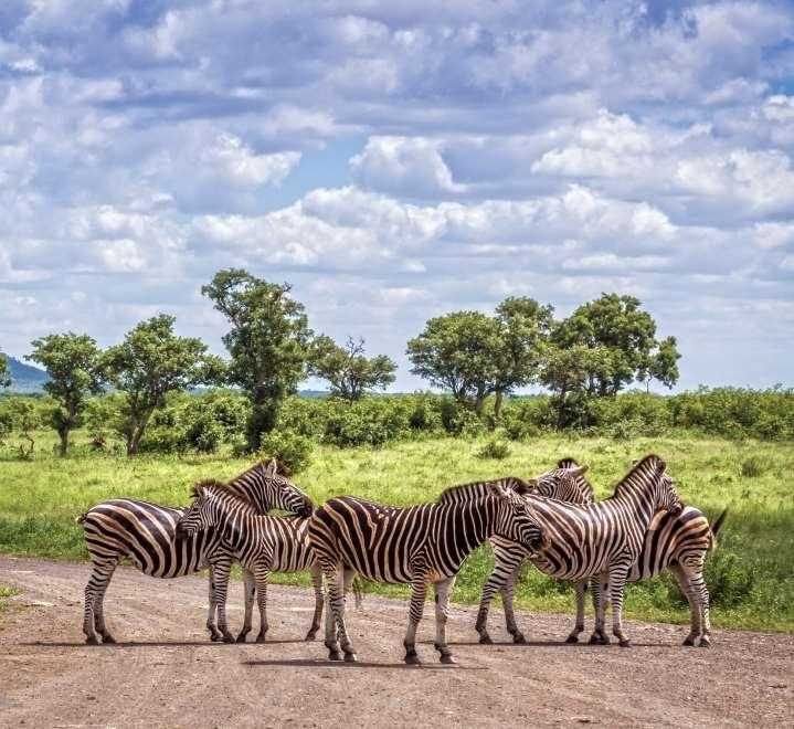 SUDAFRICA la magia del Capo, il sogno