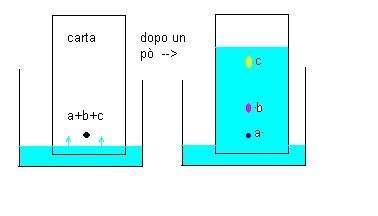 tecnica usata per ottenere piccole quantità di soluti colorati presenti in una soluzione.