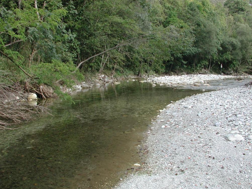 6.2 STAZIONE 10 T. MAIRA: COMUNE DI S. DAMIANO MACRA LOCALITÀ MAIRETTA 6.2.1 HABITAT FLUVIALE L ambiente circostante è naturale e la fascia riparia è integra su entrambe le rive, con abbondante vegetazione arborea che sporge sull alveo.