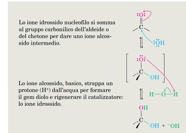 Idratazione L idratazione è in genere lenta in acqua neutra ma può essere catalizzata MECCANISMO: Idratazione