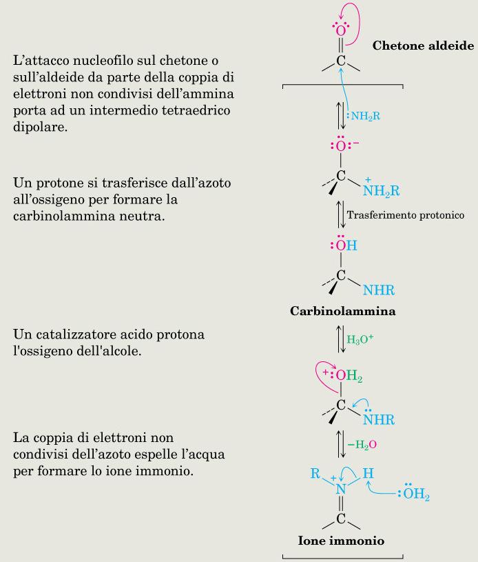 Formazione di