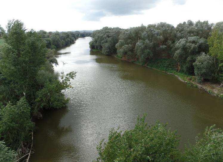 Arno a valle della stazione di Fucecchio e a monte 4 18 16 3 1 1 T acqua [ C] 2 8 6 Ossigeno disciolto [%] Settimana - 11 settembre 16 Temperatura Acqua