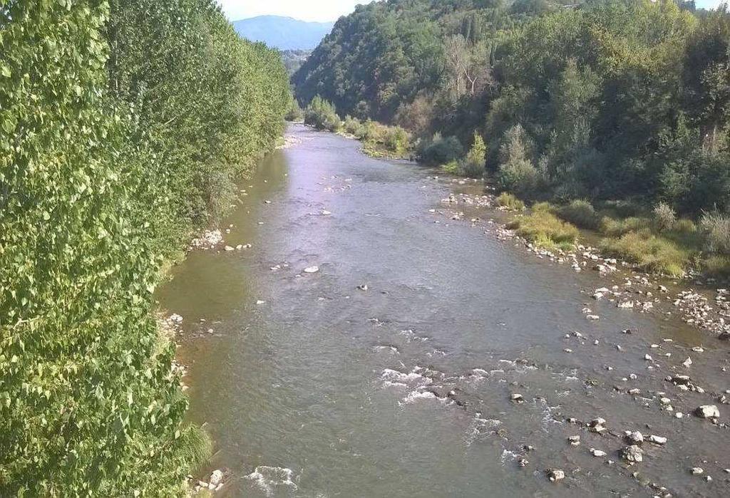 Stazione di ROSANO verifica in campo Località Data Ora ph Temperatura C