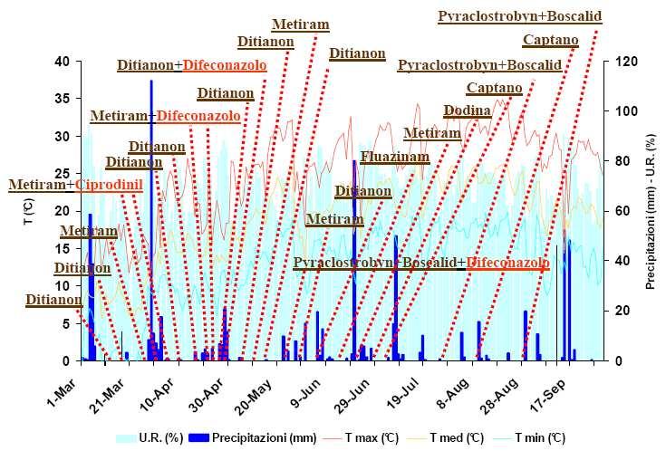 Fig. 9: Trattamenti contro ticchiolatura in funzione delle precipitazioni nella stazione di Codroipo Oidium farinosum (C.