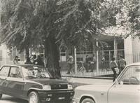 Data 1978 Ingresso Liceo