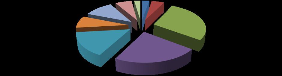 11% 6% 2% 3% 5% 8% 28% 16% 22% Non definita Scontro frontale Scontro frontale-laterale Scontro laterale Tamponamento Investimento di pedone Urto con veicolo in fermata o arresto/con veicolo in