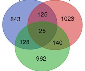 6h 24h 12h 6h 24h 12h Circa l 8% di questi geni era modulato da entrambi gli elicitori.