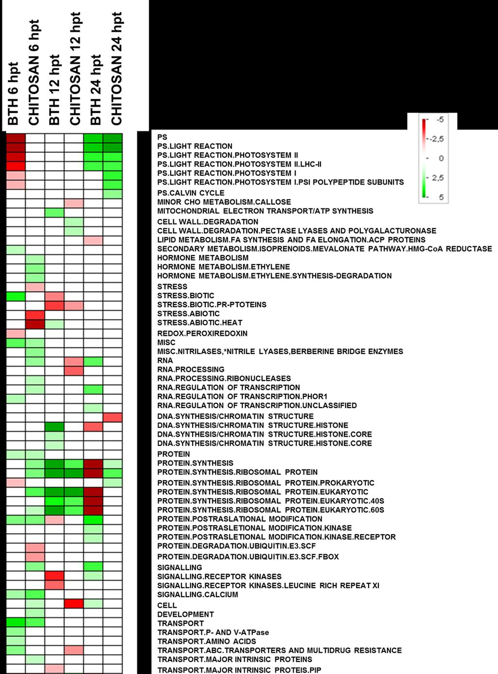 Fotosintesi Metabolismo ormonale - etilene Stress