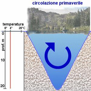 Il lago di Varese ciclo termico Le acque di un lago, alla fine della stagione invernale presentano, a tutte le profondità una uguale temperatura di circa 4 C (temperatura di massima densità
