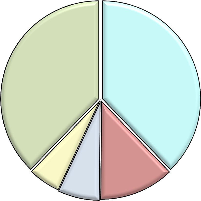 Azionisti al 31 gennaio 2017 37,77% 37,83% Finanziaria Centrale del Latte di Torino S.p.A. 37,83% Comune di Firenze 12,31% Fidi Toscana 6,83% Comune di Pistoia 5,26% Altri Azionisti < 5% 37,77 5,26% 6,83% 12,31% Sulla base delle informazioni disponibili sono iscritti a libro Soci n.