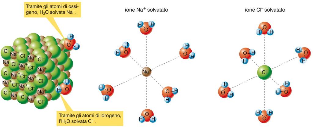 Nella Soluzioni dissociazione acquose e ed nella elettroliti ionizzazione gli ioni vengono circondati dalle molecole d acqua