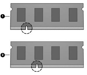 1 Aggiunta o sostituzione di moduli di memoria Il computer dispone di uno scomparto del modulo di memoria situato sotto la tastiera.