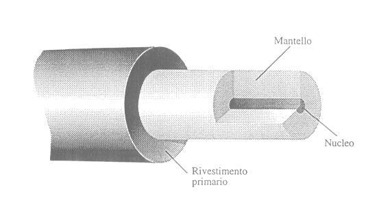 La fibra ottica 250 m 125 m Mantello Nucleo Rivestimento