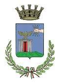 COMUNE DI CASAGIOVE (Provincia di Caserta) REGOLAMENTO PER LA DISCIPLINA DELL AREA DELLE POSIZIONI