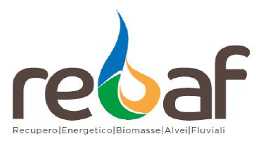 REBAF Recupero energetico biomasse alvei fluviali Obiettivo: Costruzione e validazione sperimentale di sistemi innovativi per