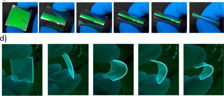 All-polymer processable materials are promising for the integration of