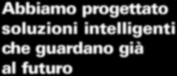 proporzioni particolari (ad es. rapporto tra lunghezza e diametro testa vite, vicino a 1).