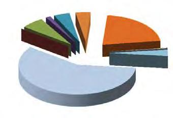 Elenco causali dei decreti 2011-2012 Dati al 31/12/2012 Causali Da Gennaio al 31/12/2012 2011 % su tot 2012 % su tot Diff.nza su anno crisi aziendale 4.008 58,53% 3.447 55,68% -561-14,00% amm.