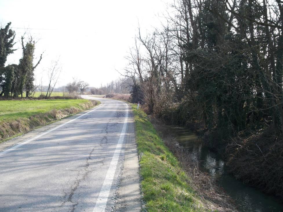 Il suo andamento risulta essere rettilineo, mentre l alveo presenta la classica forma trapezoidale tipica dei corsi d acqua