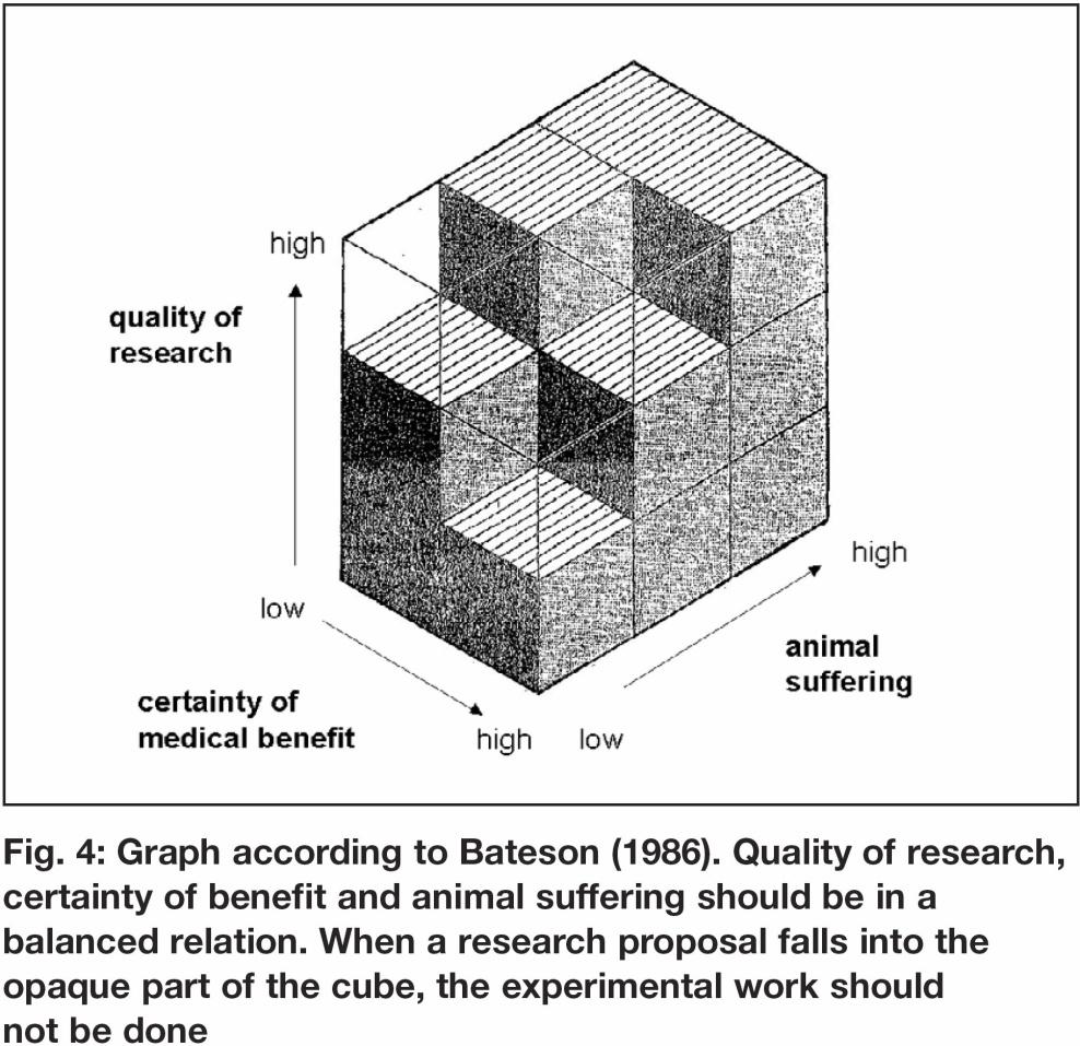 1993 3rd dimension: