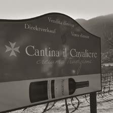 72 Cantina il Cavaliere Via Cantonale 41 CH-6594 Contone-Gambarogno T +41 (0)91 858