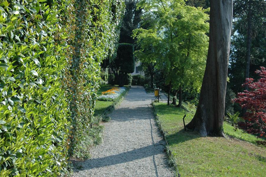 GIARDINO VECCHIO Pochissmi anni prima che Villa Carlotta venisse costruita, in Svezia, un botanico di nome Carl Von Linnè, stava rivoluzionando il mondo delle scienze.