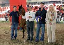 Five international and experienced judges alternated on the field: Mrs. Sylvie Eberhardt (D), Mrs. Christiane Chazel (F), Mrs.