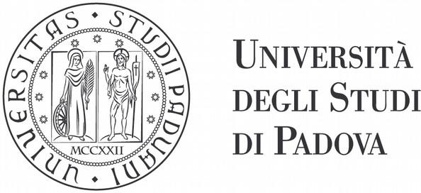 AMMINISTRAZIONE CENTRALE AREA DIDATTICA E SERVIZI AGLI STUDENTI UFFICIO OFFERTA FORMATIVA ED ASSICURAZIONE DELLA QUALITA Decreto Rep. Prot. n. Anno 2019 Tit. III Cl. 2 Fasc.