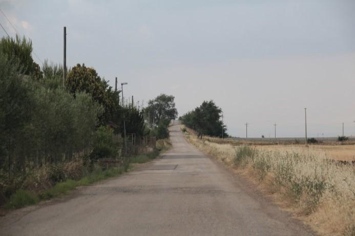 Regio Tratturello Foggia Ordona Lavello tratto asfaltato immediatamente a SUD della SP97 Regio Tratturello Foggia Ordona Lavello tratto asfaltato immediatamente a NORD della zona oggetto di