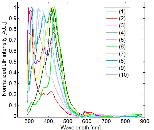 Consolidanti di riferimento 6 Dispersion K 1 Primal AC35 7 Dispersion