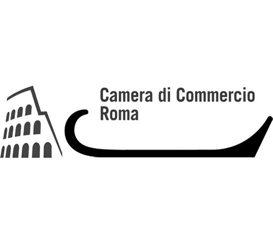 Camera di Commercio Industria Artigianato e Agricoltura di ROMA - VISURA DI EVASIONE "REALE