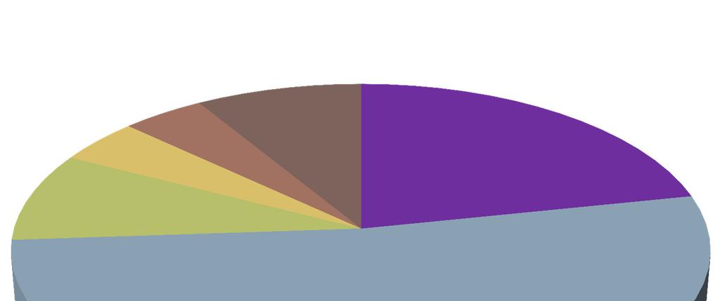 9% 22% 4% 4% 9% Altro Consulente Gestore catalogo Persuasore occulto 52%