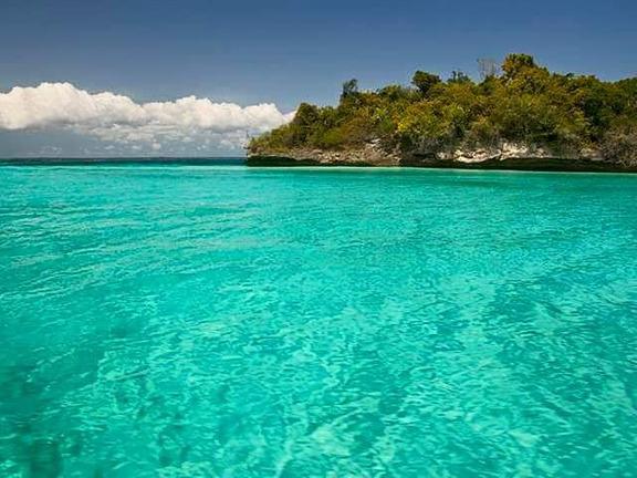 nell'isola di Mnemba Visita della foresta di Jozani