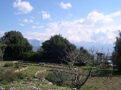 L orto è diviso in cinque sezioni distinte che corrispondono alle coperture vegetali del Promontorio del Caprione: Gariga - Macchia mediterranea - Pineta di Pino d Aleppo - Querceto caducifoglio -