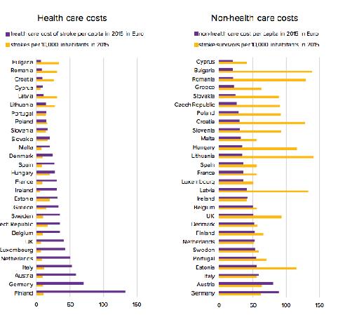 Esiste un ampia variabilità in Europa rispetto ai livelli offerti in ambito di valutazione e riabilitazione.